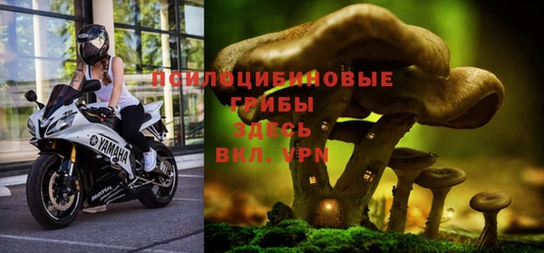 Альфа ПВП Баксан