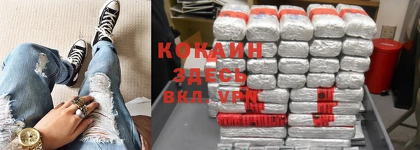 хмурый Аркадак